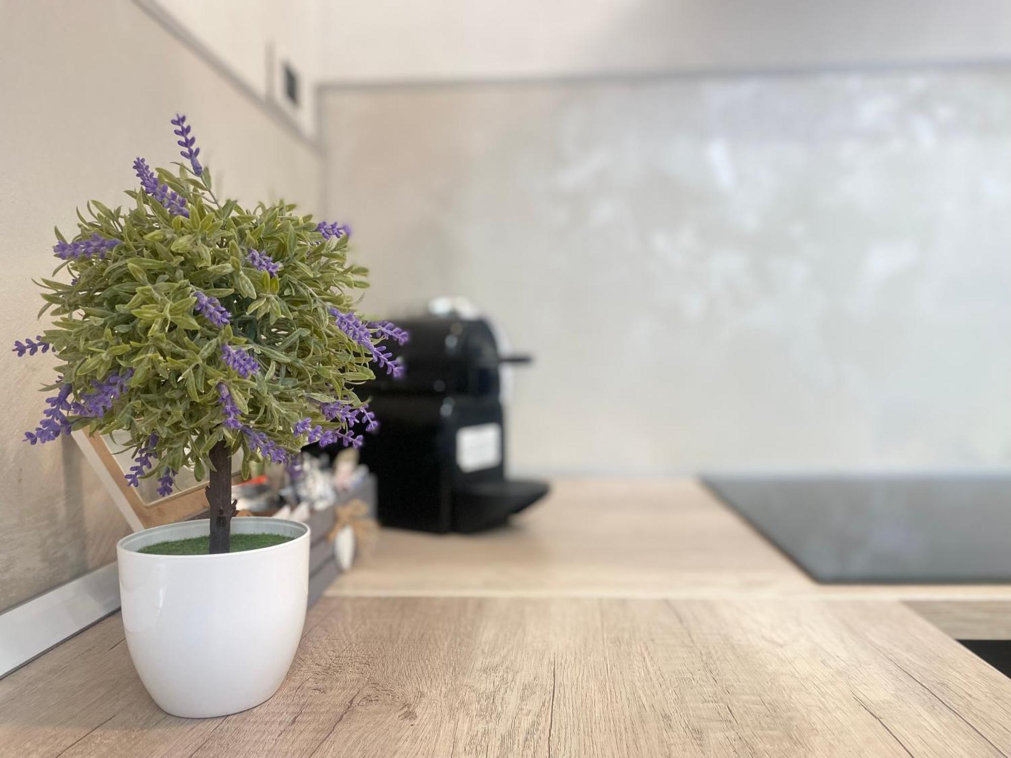 ראפאלו Mazzini 12 Very Central Apartment With Private Garage, Air Conditioning, Wifi, Just 50 Meters From The Beach מראה חיצוני תמונה
